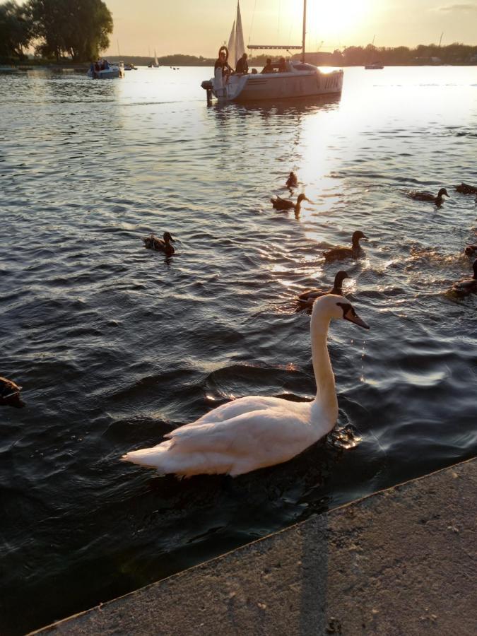 Domek Letniskowy Ostroda Arizona 外观 照片